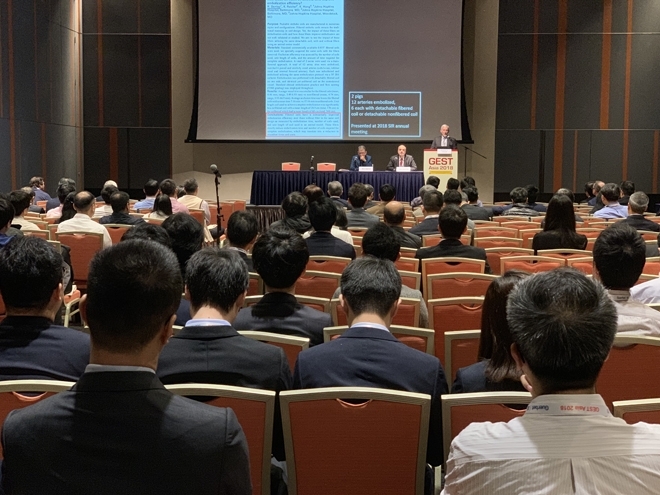GEST-Asia-2018-38