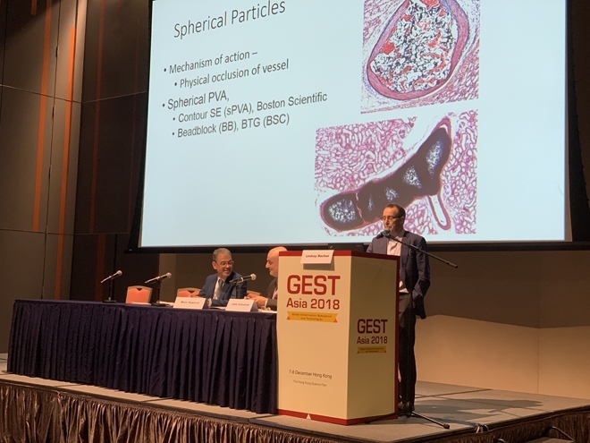 GEST-Asia-2018-42